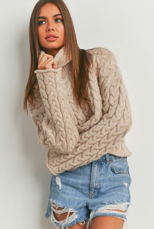 Turtle neck long sleeve sweater
